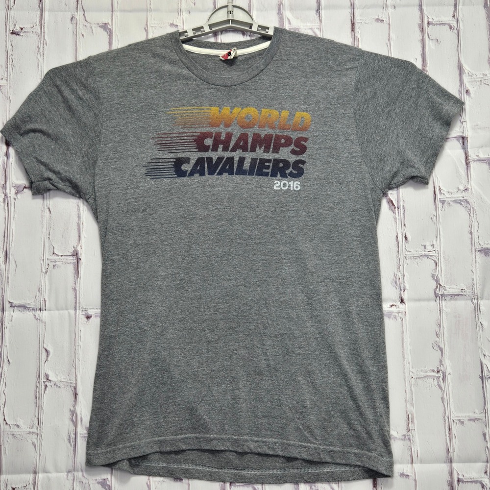 Homage Mens Cleveland Cavaliers 2016 World‎ Champs T-Shirt Gray Tri-Blend Large